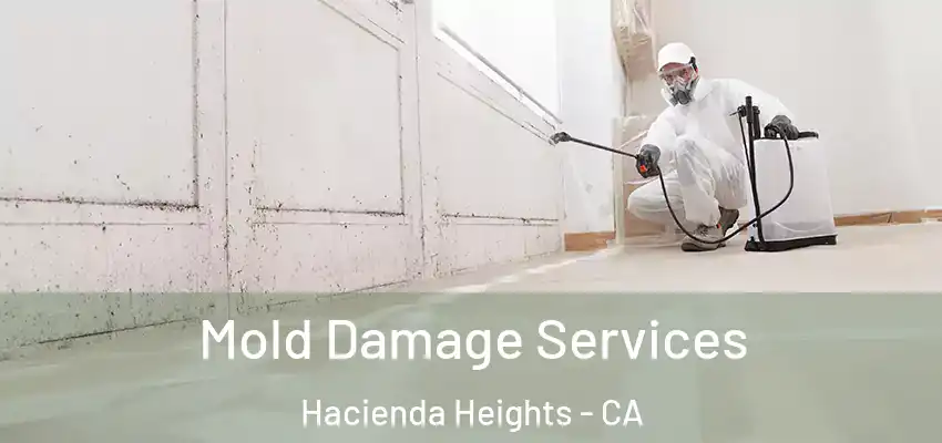  Mold Damage Services Hacienda Heights - CA