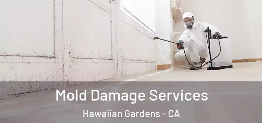 Mold Damage Services Hawaiian Gardens - CA