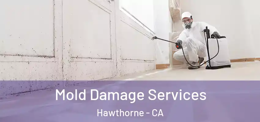 Mold Damage Services Hawthorne - CA