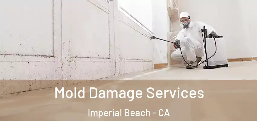  Mold Damage Services Imperial Beach - CA