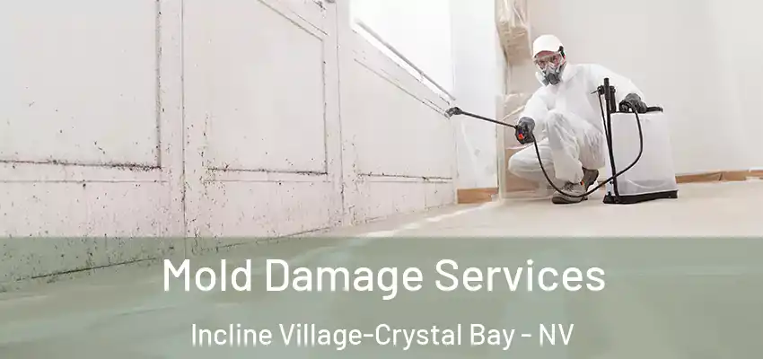 Mold Damage Services Incline Village-Crystal Bay - NV