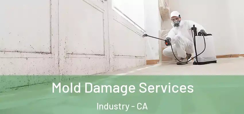 Mold Damage Services Industry - CA