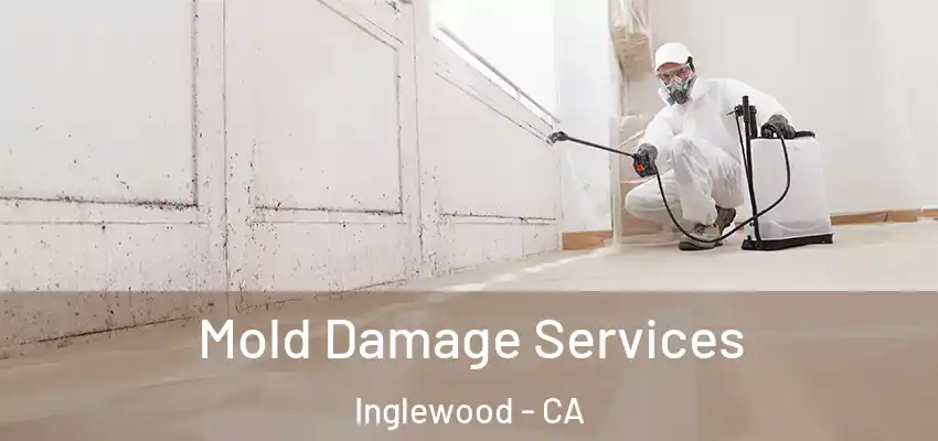  Mold Damage Services Inglewood - CA