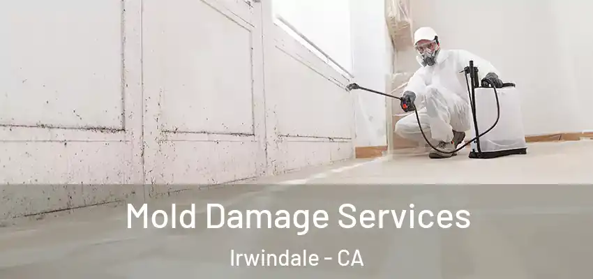 Mold Damage Services Irwindale - CA