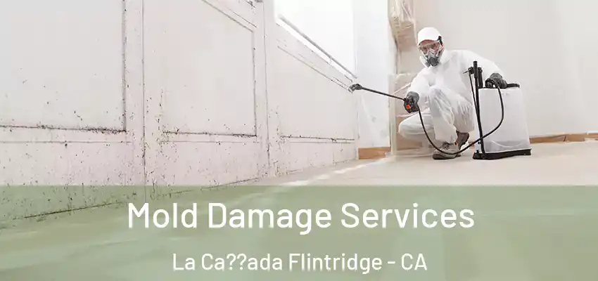Mold Damage Services La Ca??ada Flintridge - CA