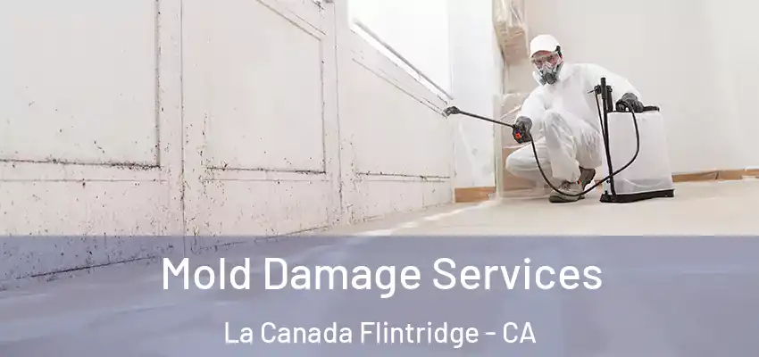 Mold Damage Services La Canada Flintridge - CA