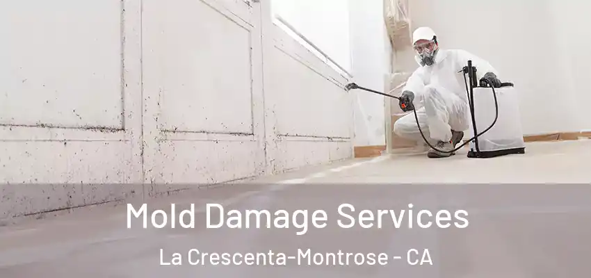  Mold Damage Services La Crescenta-Montrose - CA