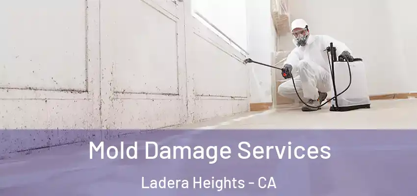  Mold Damage Services Ladera Heights - CA