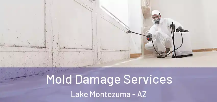 Mold Damage Services Lake Montezuma - AZ