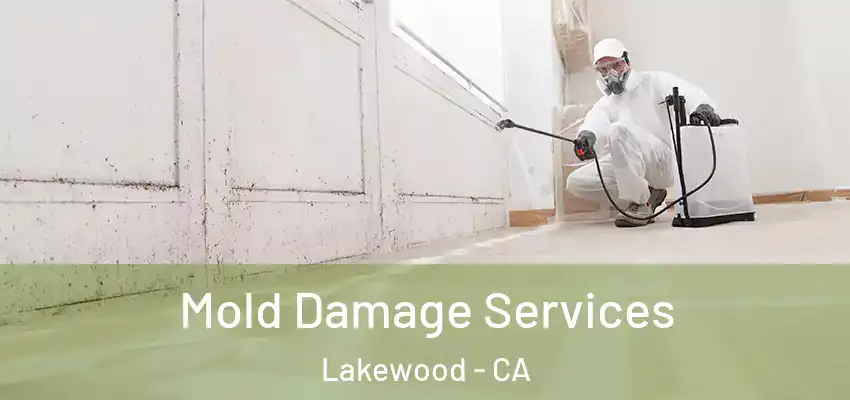 Mold Damage Services Lakewood - CA