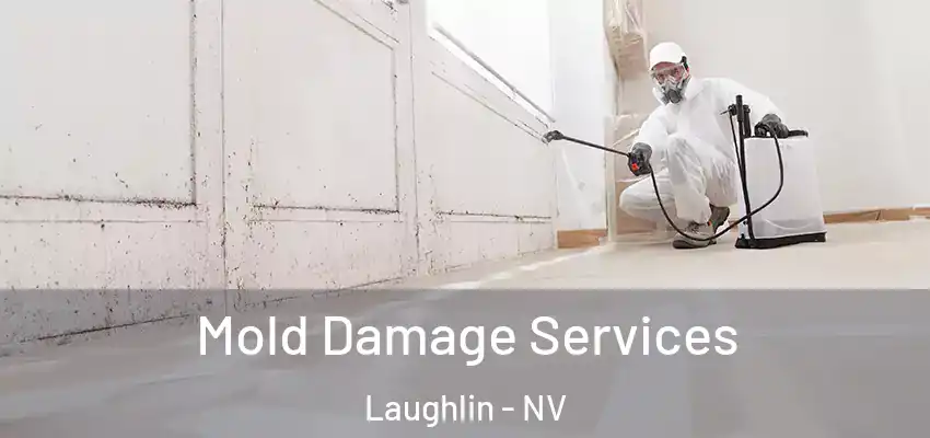 Mold Damage Services Laughlin - NV