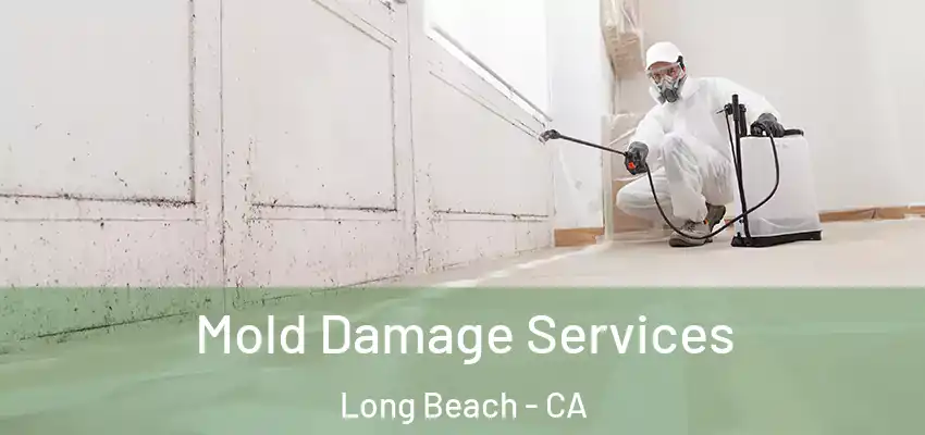 Mold Damage Services Long Beach - CA