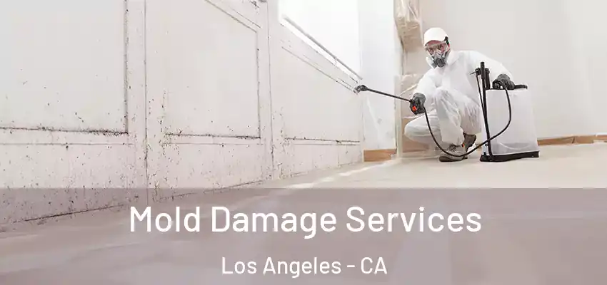  Mold Damage Services Los Angeles - CA