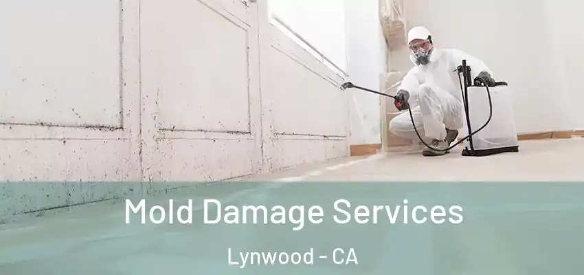  Mold Damage Services Lynwood - CA