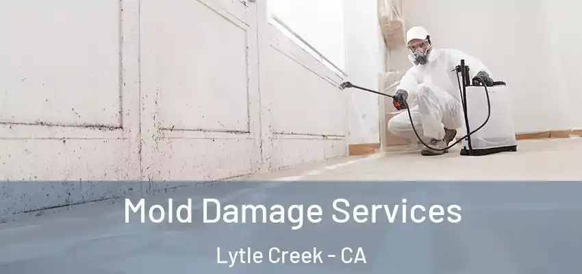 Mold Damage Services Lytle Creek - CA