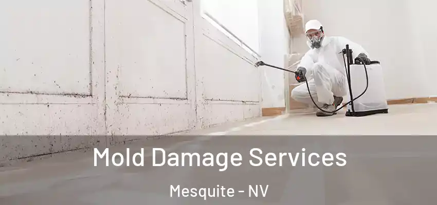  Mold Damage Services Mesquite - NV