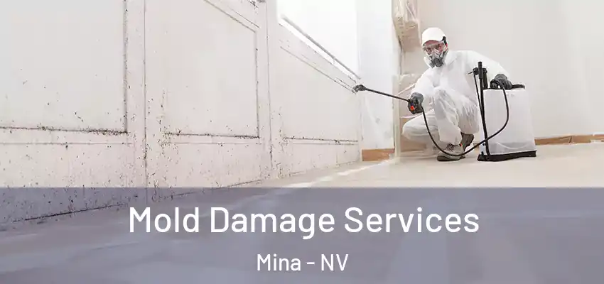 Mold Damage Services Mina - NV