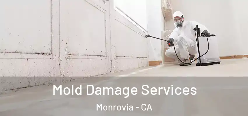 Mold Damage Services Monrovia - CA