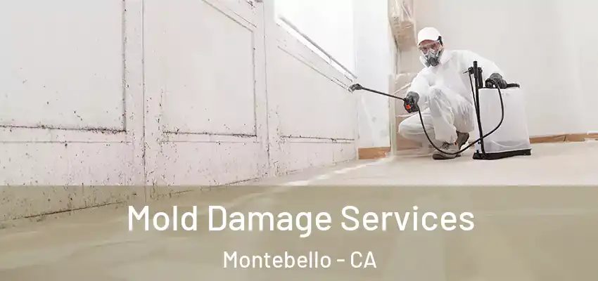 Mold Damage Services Montebello - CA