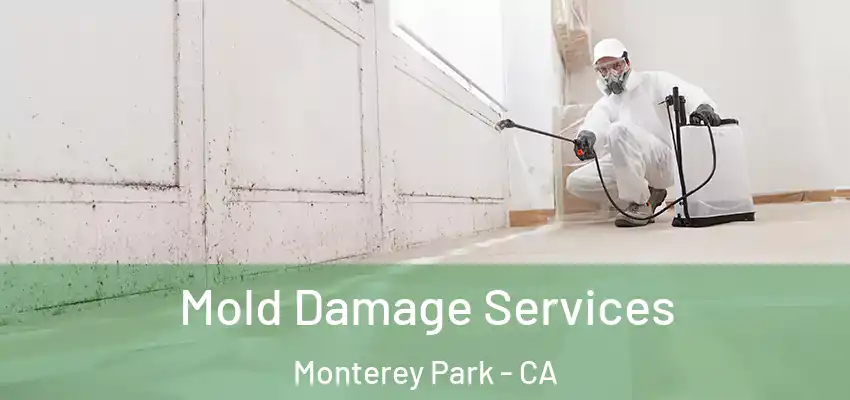  Mold Damage Services Monterey Park - CA