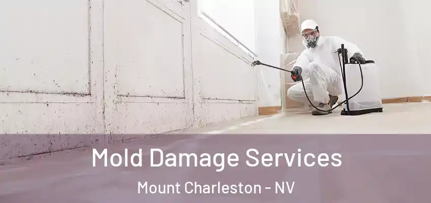 Mold Damage Services Mount Charleston - NV