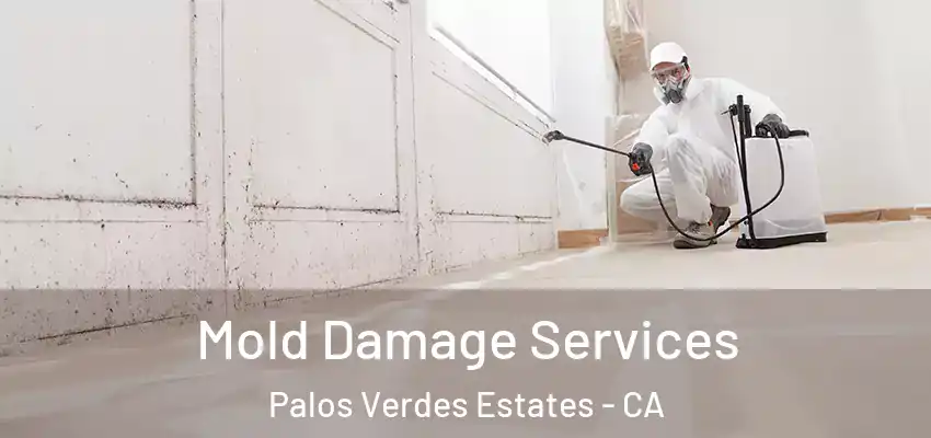  Mold Damage Services Palos Verdes Estates - CA