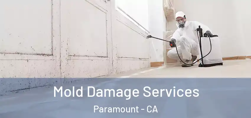 Mold Damage Services Paramount - CA