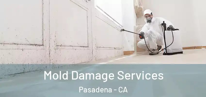 Mold Damage Services Pasadena - CA