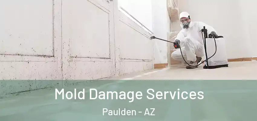  Mold Damage Services Paulden - AZ