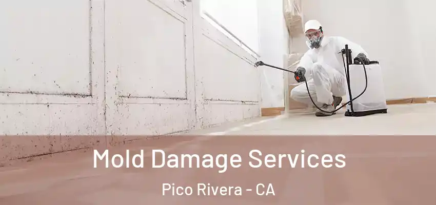 Mold Damage Services Pico Rivera - CA