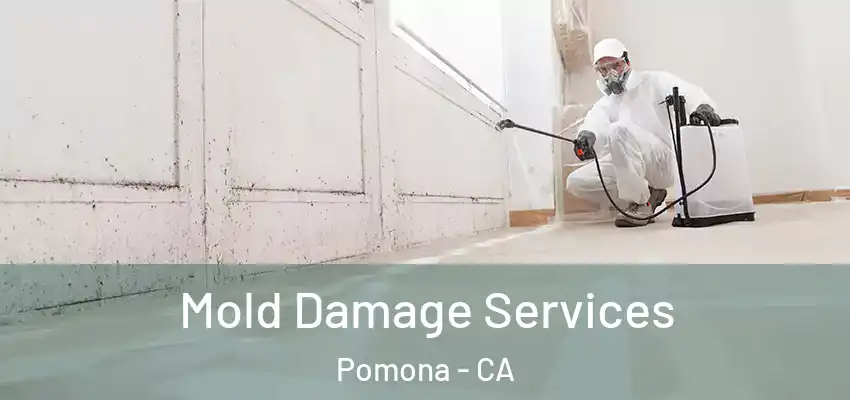 Mold Damage Services Pomona - CA