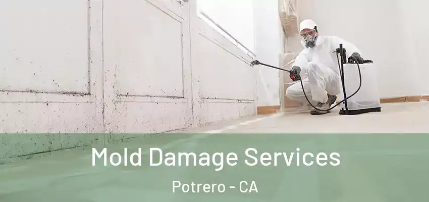 Mold Damage Services Potrero - CA