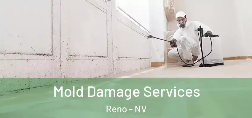 Mold Damage Services Reno - NV