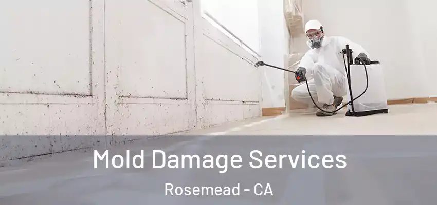 Mold Damage Services Rosemead - CA