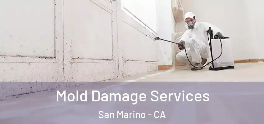 Mold Damage Services San Marino - CA