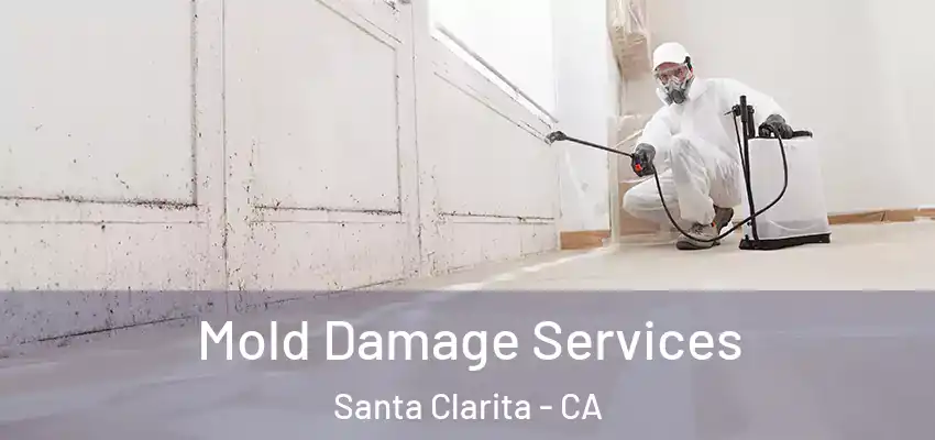 Mold Damage Services Santa Clarita - CA