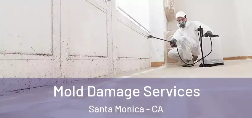 Mold Damage Services Santa Monica - CA
