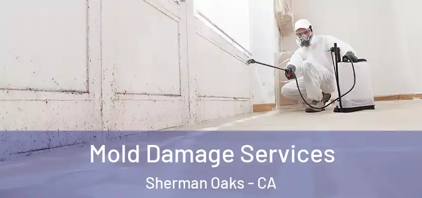  Mold Damage Services Sherman Oaks - CA