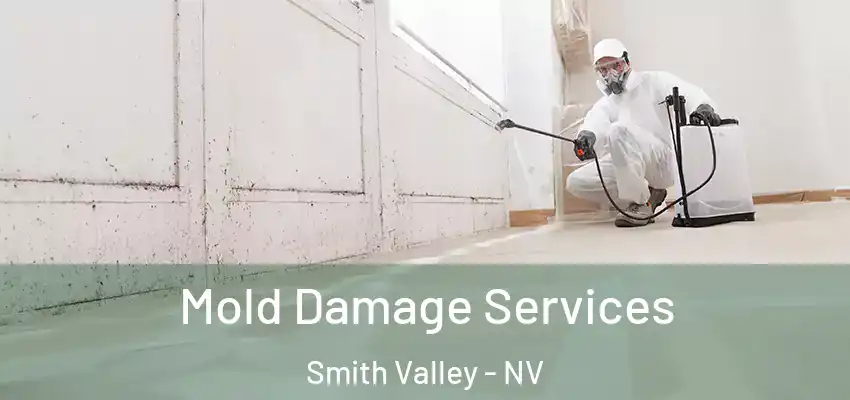 Mold Damage Services Smith Valley - NV