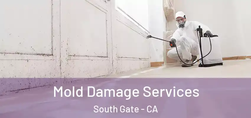 Mold Damage Services South Gate - CA