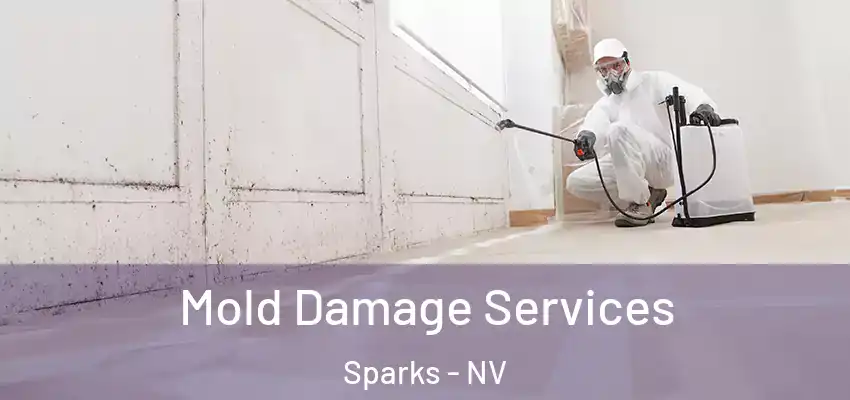  Mold Damage Services Sparks - NV