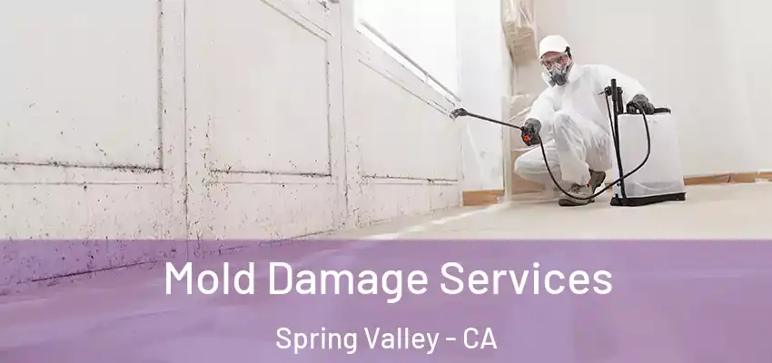 Mold Damage Services Spring Valley - CA