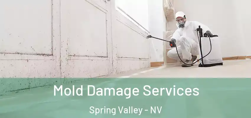 Mold Damage Services Spring Valley - NV