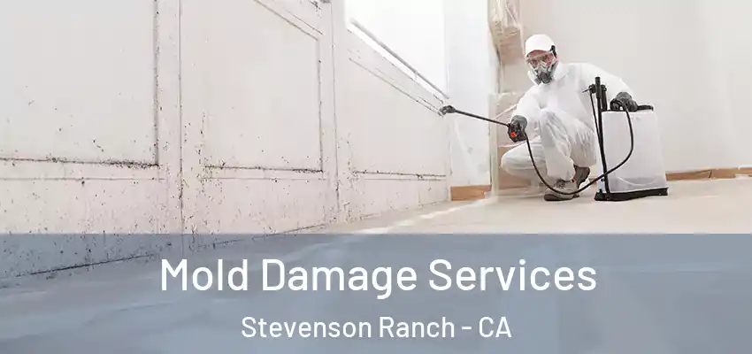 Mold Damage Services Stevenson Ranch - CA