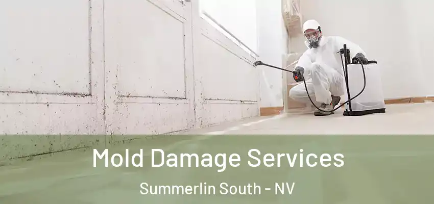  Mold Damage Services Summerlin South - NV