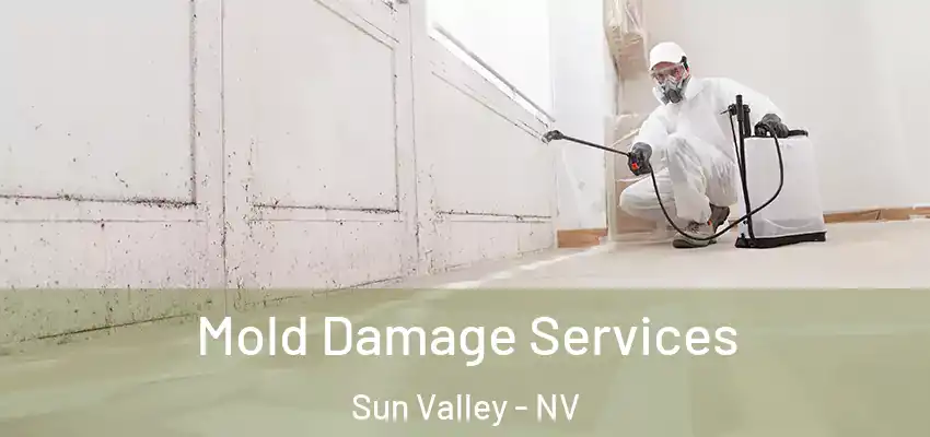  Mold Damage Services Sun Valley - NV