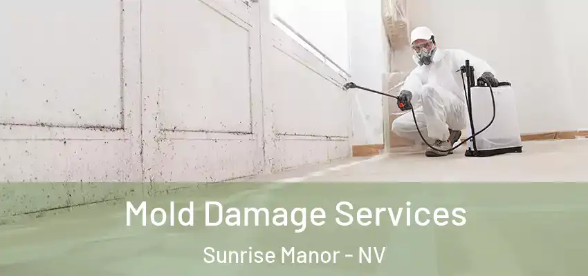  Mold Damage Services Sunrise Manor - NV