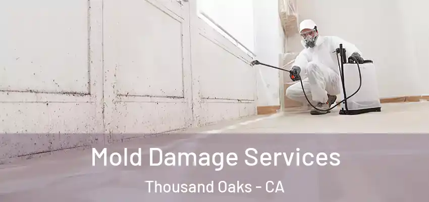  Mold Damage Services Thousand Oaks - CA