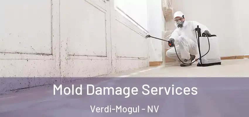  Mold Damage Services Verdi-Mogul - NV