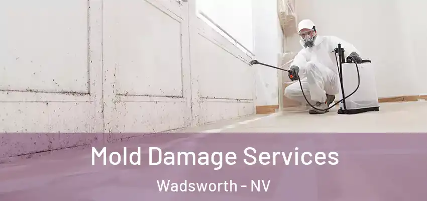 Mold Damage Services Wadsworth - NV